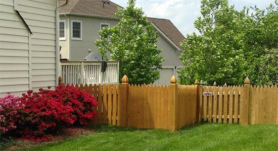 Fence Contractor