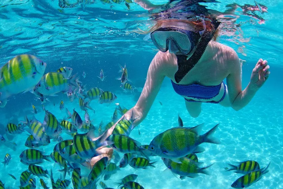 Snorkeling